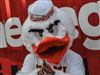 Miami's Updated National Title Odds Fall Miami's Updated National Title Odds Fall