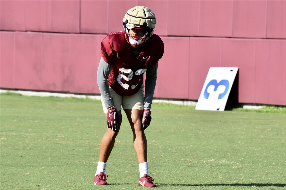 FSU Football Highlights From Preseason Practice No 17