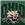 5_13851.gif