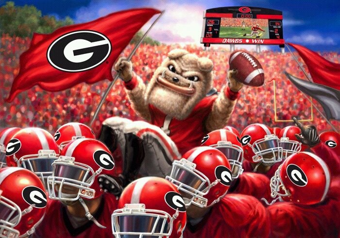 Pin By Ashley Taylor On Go Dawgs :) | Georgia Dawgs, Georgia Bulldogs ...