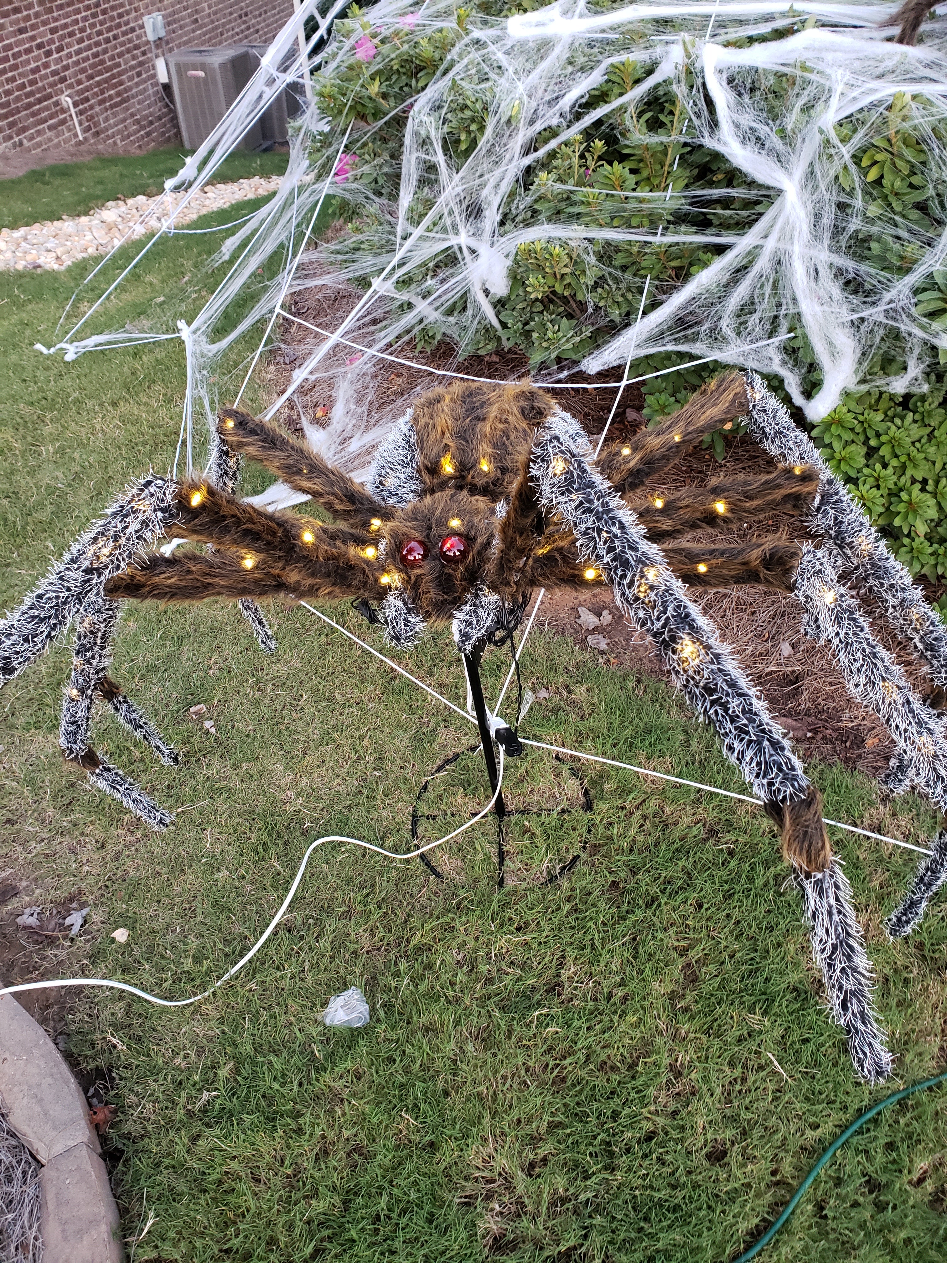 WOW! Came home to his huge spider web across my front door.