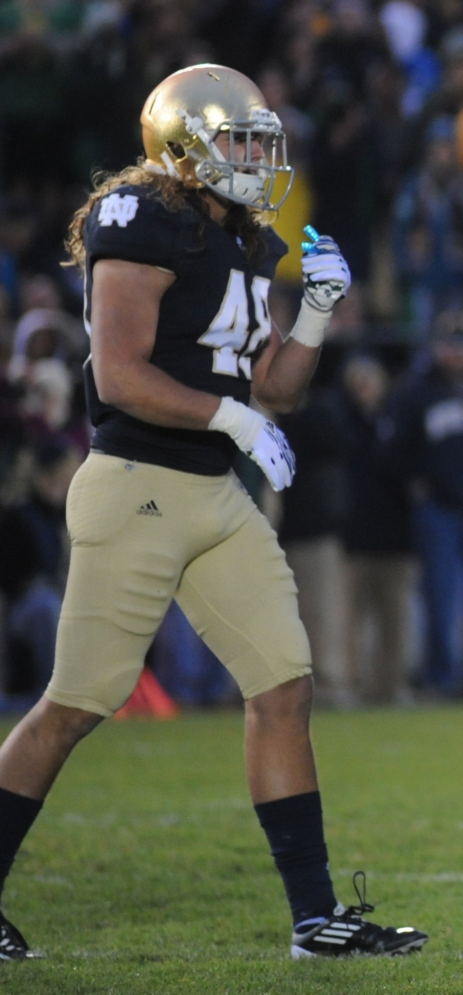 Dan Fox, New York, Linebacker