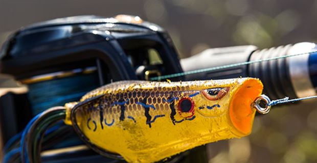 5 Must-Have Bank Fishing Baits