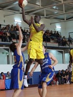 Gophers Add Another In 2014