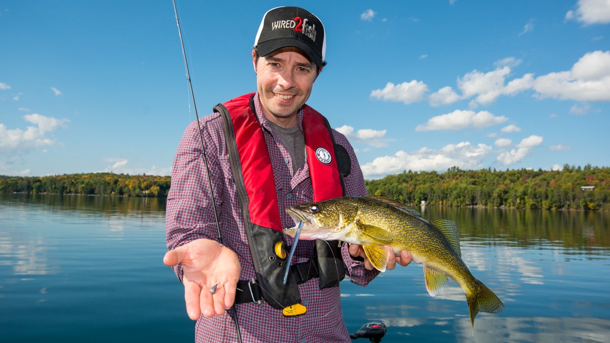 Learn How To Fish A Drop Shot For Big Walleyes throughout The Most Elegant  bass fishing tips drop shot with regard to Provide Home Learn How To Fish A Drop Shot For Big Walleyes throughout The Most Elegant  bass fishing tips drop shot with regard to Provide Home