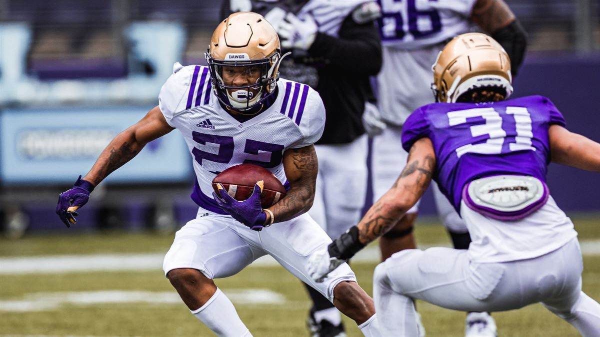 Washington Huskies Spring Review AllInOne