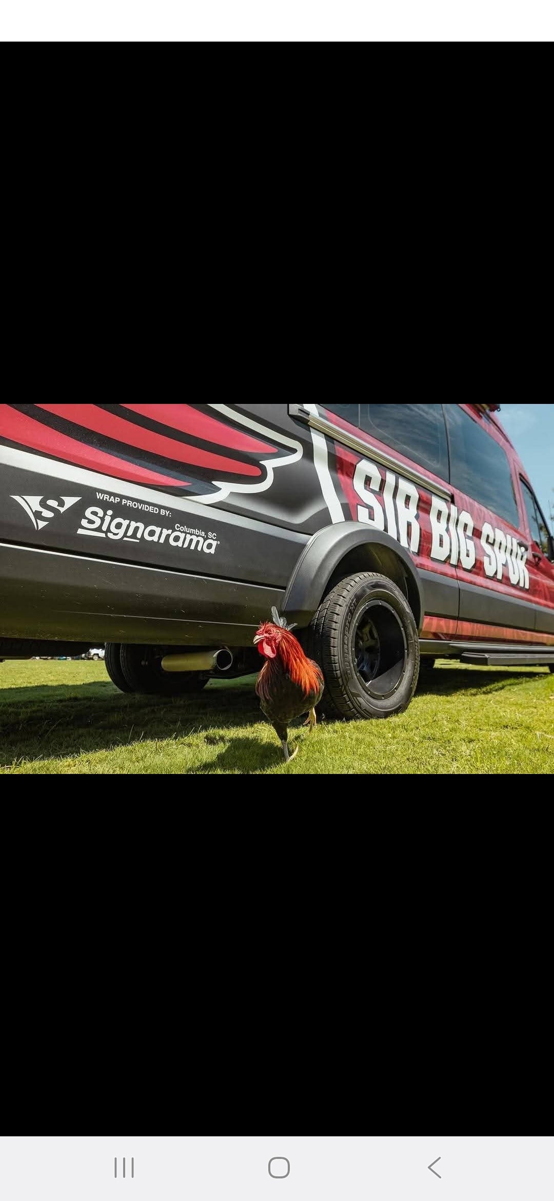 Oh my! Sir Big Spur has a new ride!