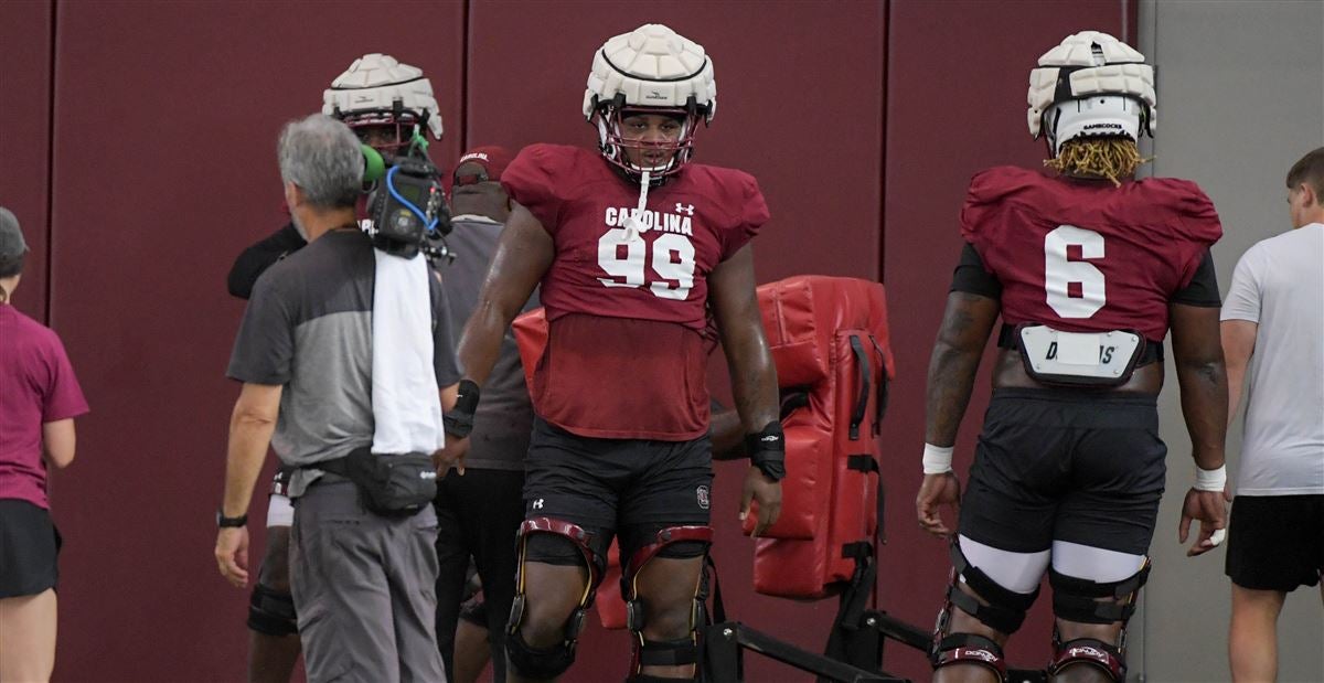 South Carolina DT D'Andre Martin enters NCAA Transfer Portal