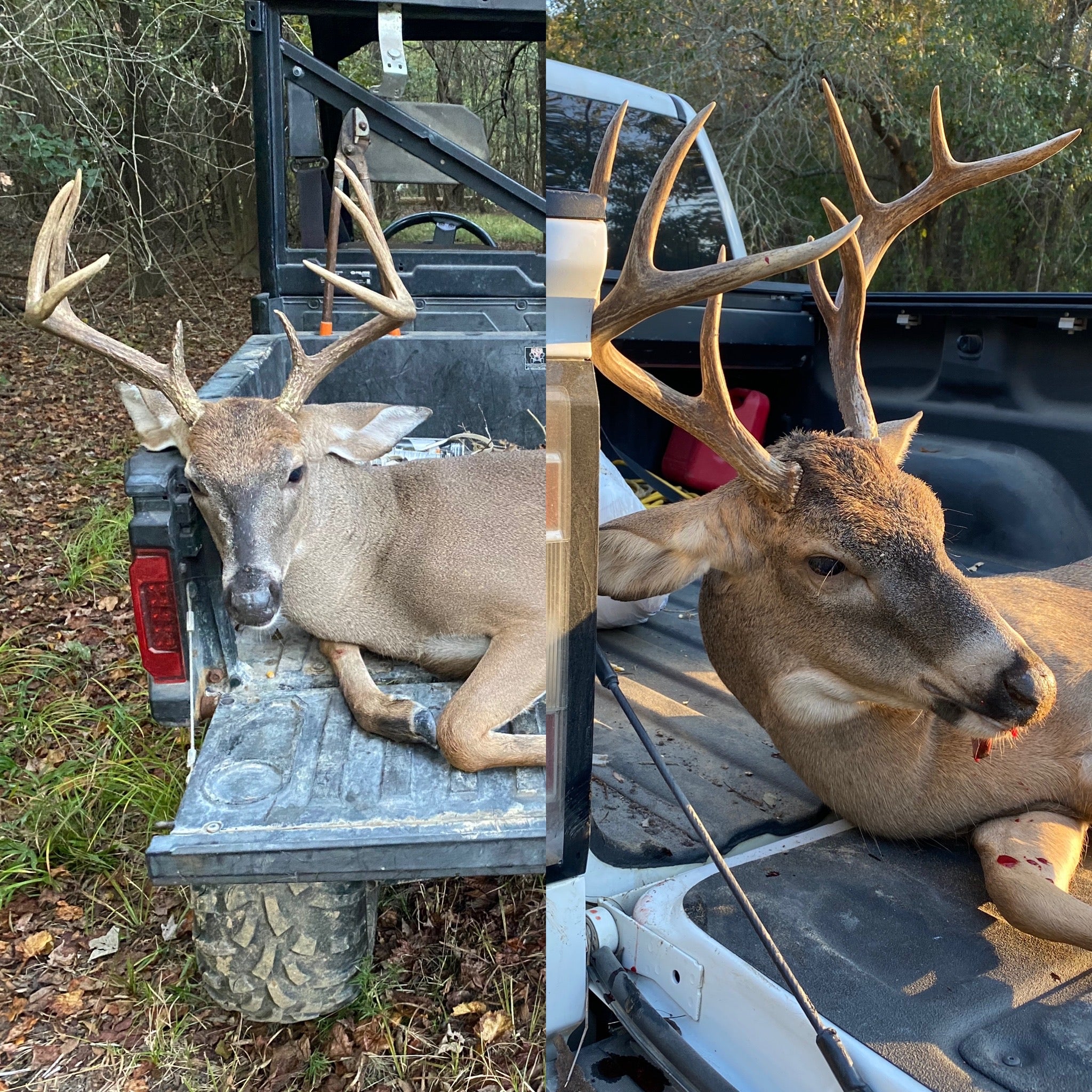 Hunting Thread