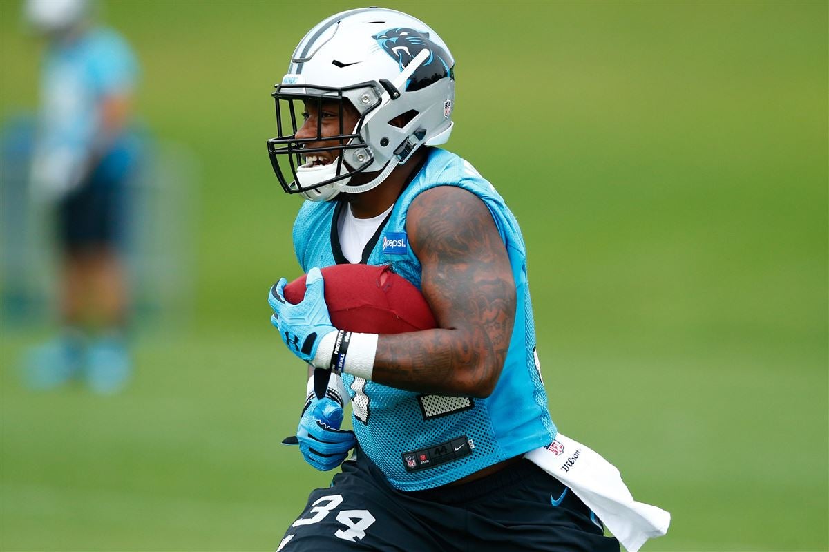 Alouettes sign former NFL running back Cameron Artis-Payne - 3DownNation