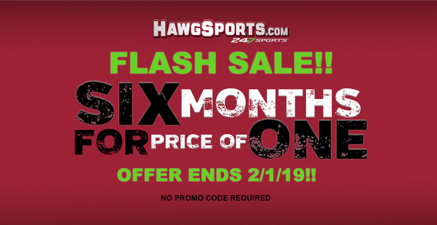 Hawg hot sale sports 247