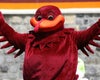Hokie Bird