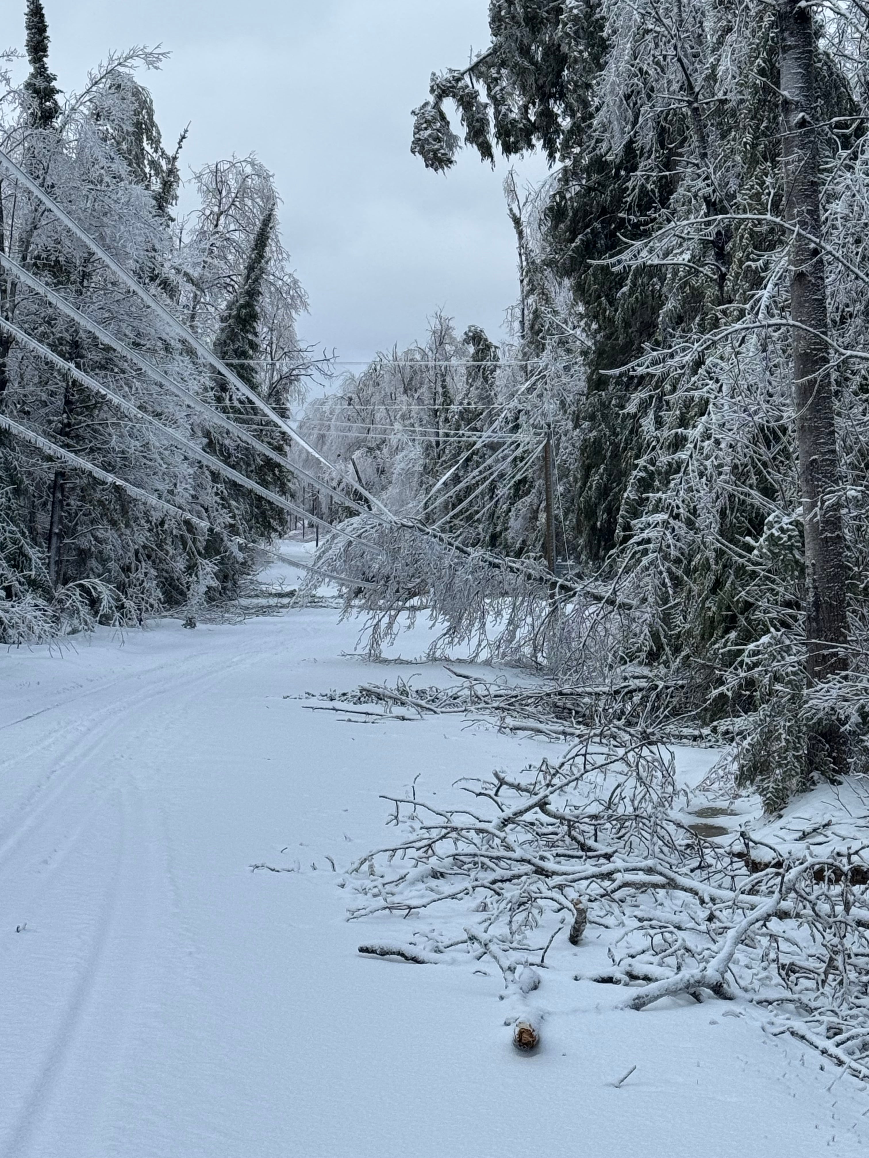 Northern Michigan Ice Storm 2025