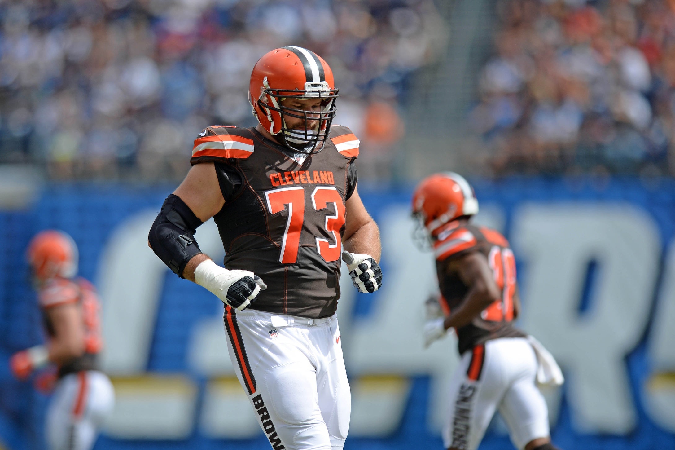 Gary Barnidge Cleveland Browns Nike Game Jersey - Brown