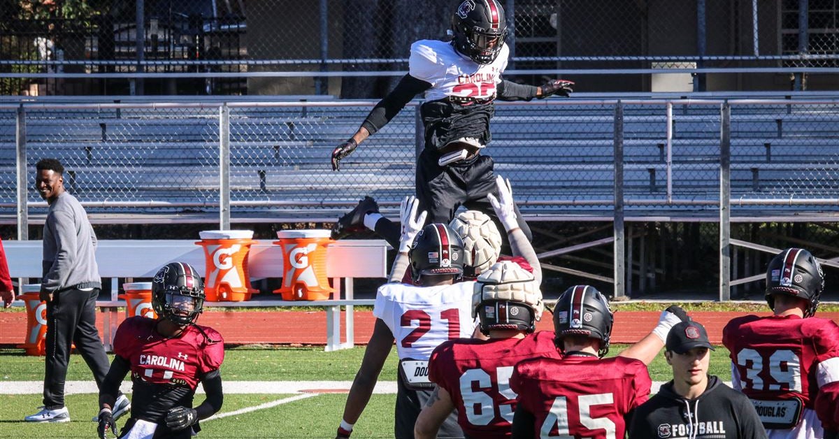 Fortune ready to climb South Carolina football depth chart