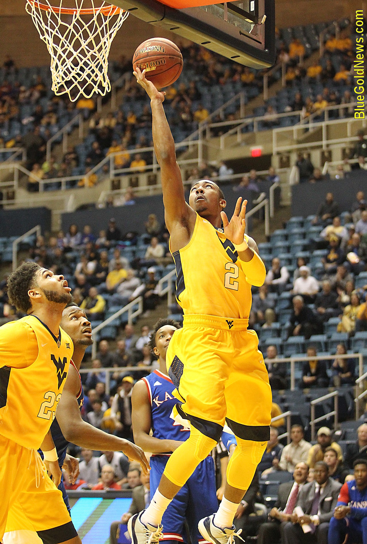 Bluegoldnews 247 - lhouyoh