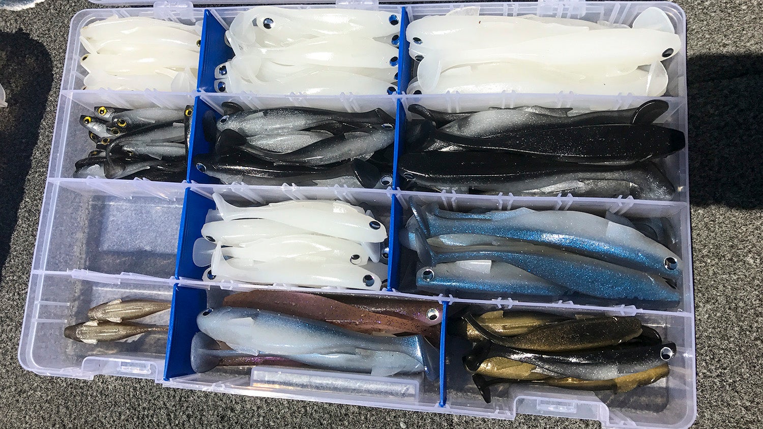 swimbait storage