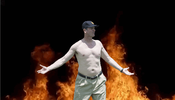 10891148.gif