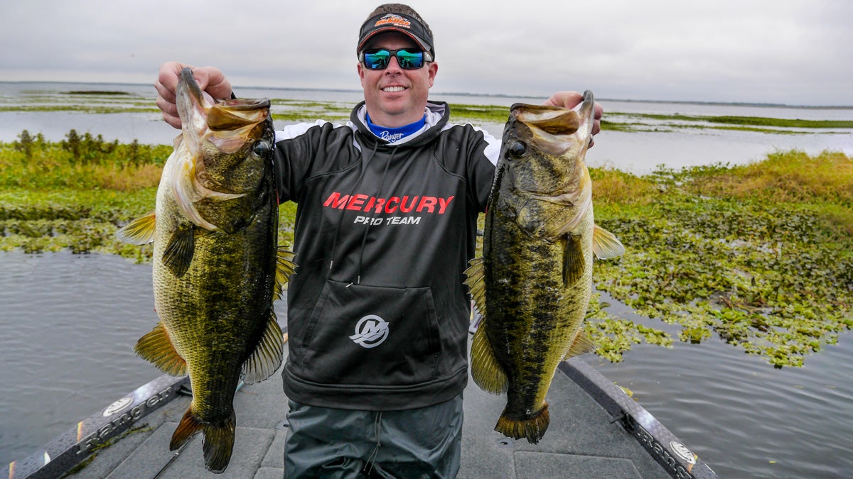 Do You Understand Bass Movement?