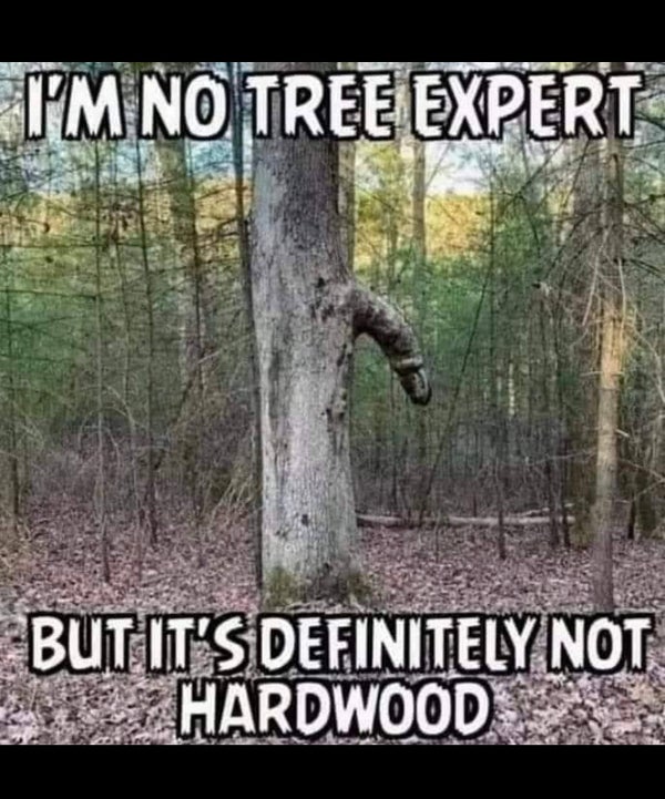 Hardwood?