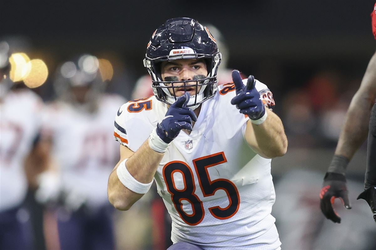 Chicago Bears Post Draft: Tight End Room Review