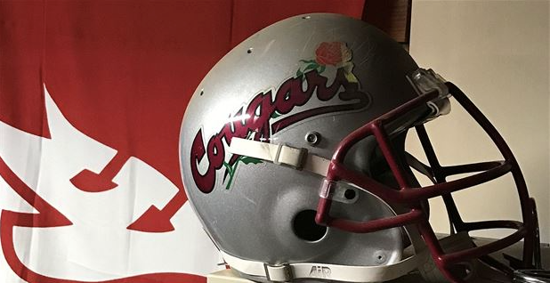 WASHINGTON STATE COUGARS FULL SIZE FOOTBALL HELMET DECAL W/BUMPERS 