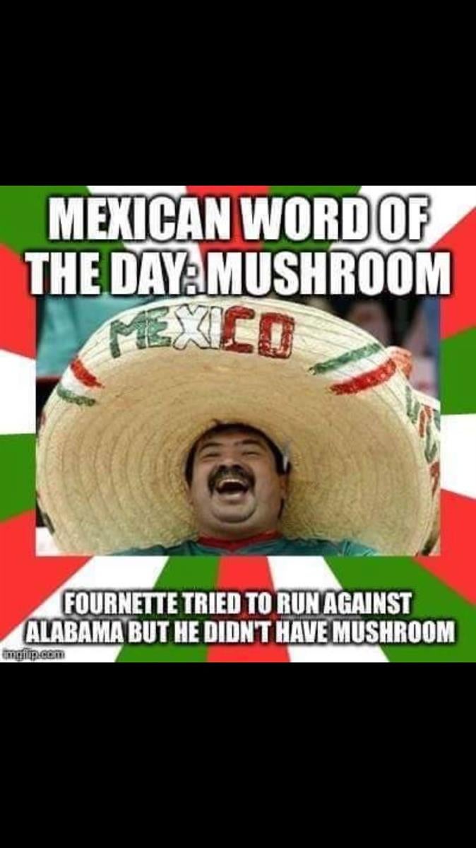 essay jokes mexican