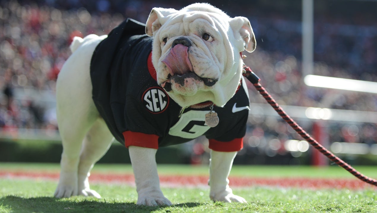 2019 Georgia Football: Sophomore Surge, DL Jordan Davis - Sports  Illustrated Georgia Bulldogs News, Analysis and More