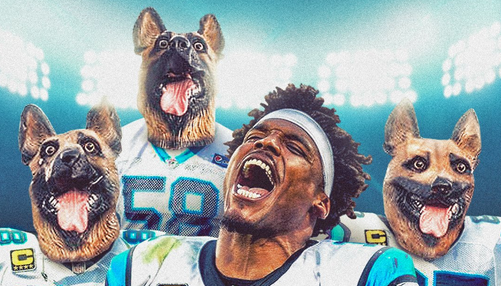 Philadelphia Eagles: Dog masks allowed at NFC Championship Game at