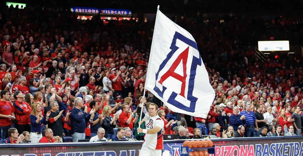 Arizona will 're-evaluate' basketball coaching search