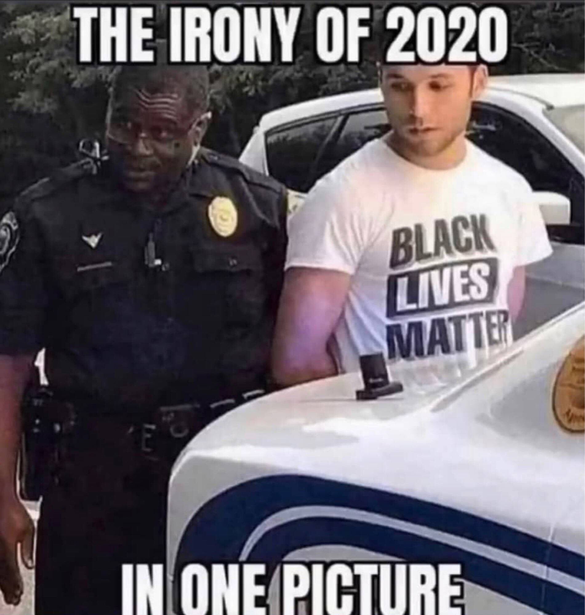 9831178.jpeg