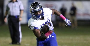 Confirmed Visitor List for Gators Orange and Blue spring game Confirmed Visitor List for Gators Orange and Blue spring game