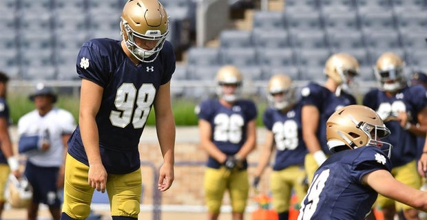 professional cheap essay writing service usa