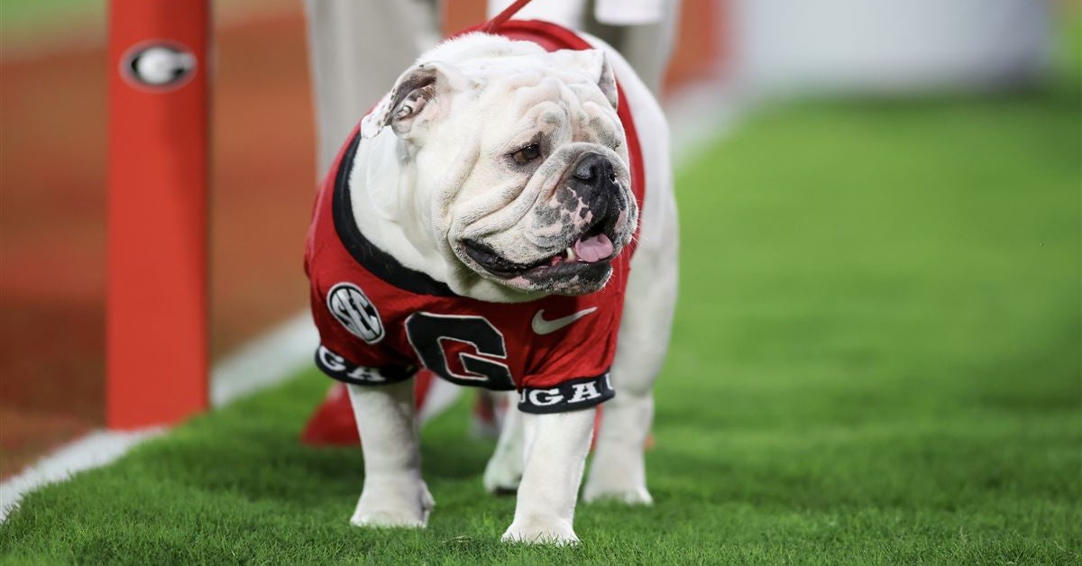 How Dawgs247 experts predict Georgia's game against Texas will unfold