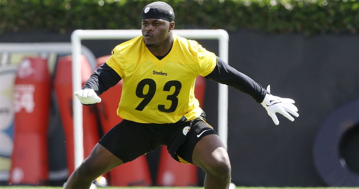 Does Steelers rookie LB Mark Robinson have starting upside?