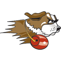 Fighting Saints