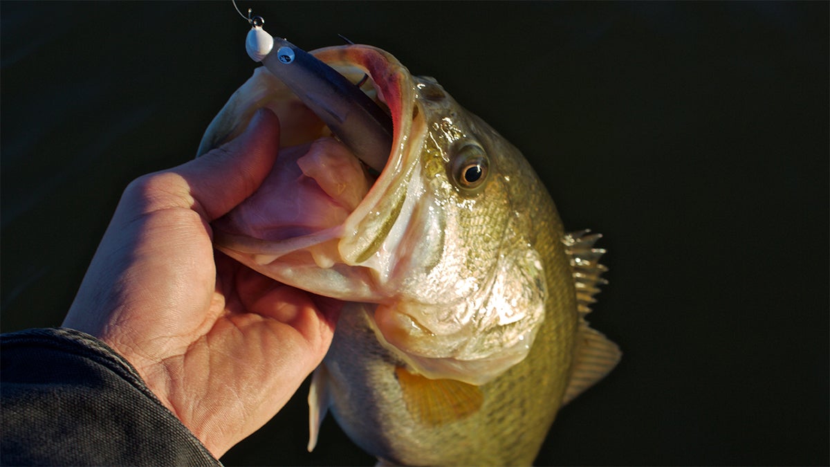 What Lures We're Fishing in March 2024 - Wired2Fish