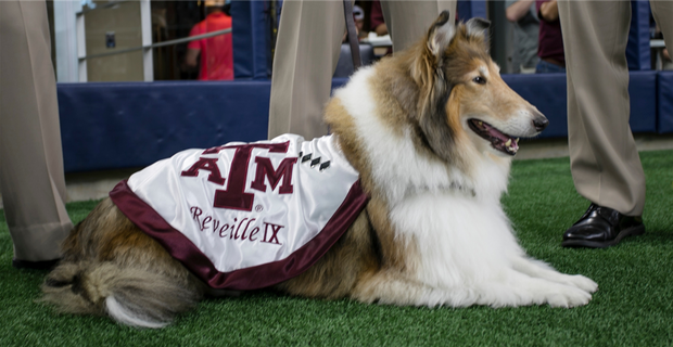 Texas A&M Aggies Photos