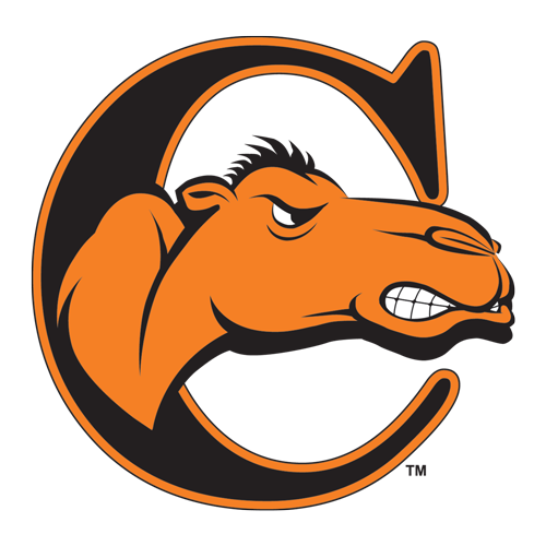 Campbell Fighting Camels Home