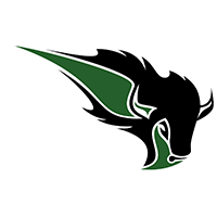 Bison