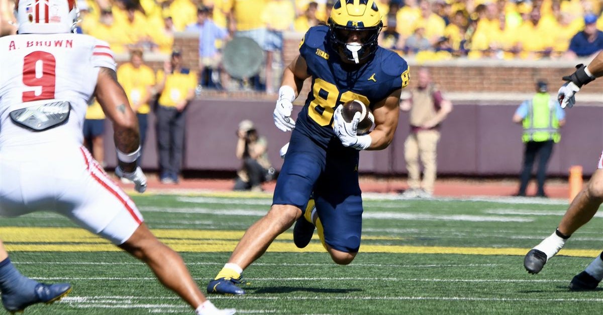 Position preview: What to know and expect from Michigan's tight end room in 2026