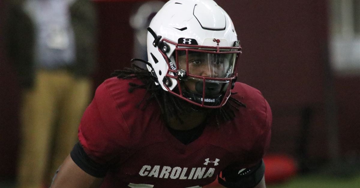 South Carolina DB Keenan Nelson Jr. enters NCAA Transfer Portal