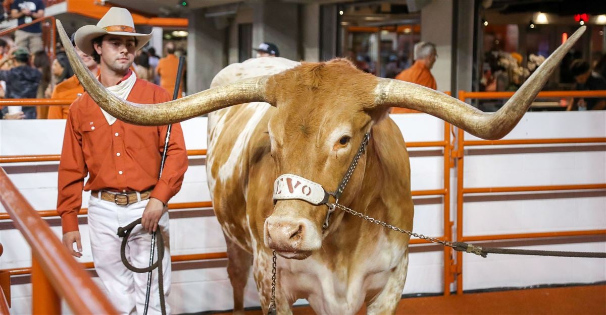 Flagship Video: Assessing Texas football during the bye week - Vimarsana News
