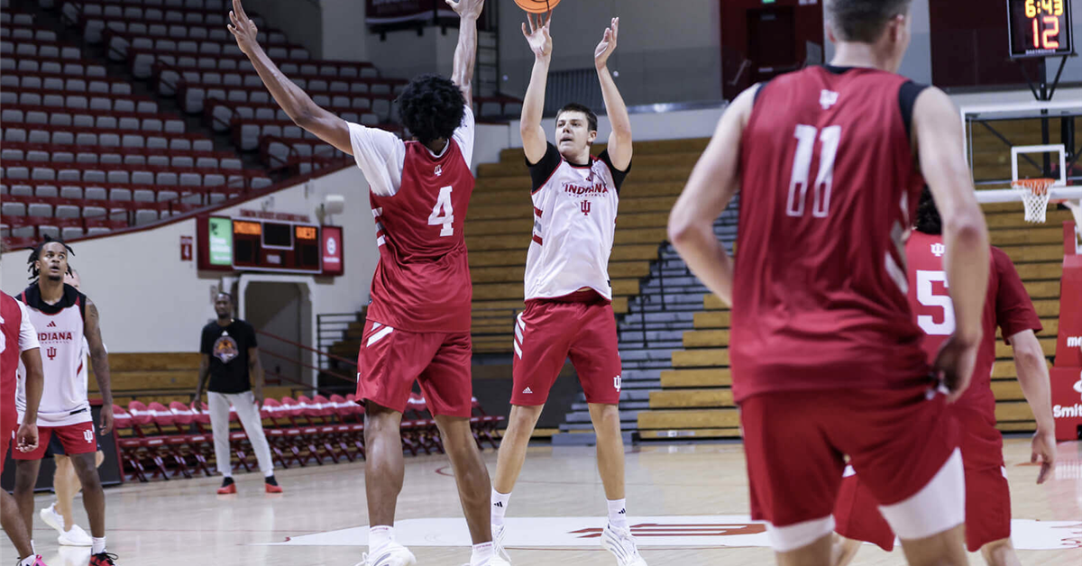 Indiana freshman center Andre Acimovic is entering the transfer portal ...