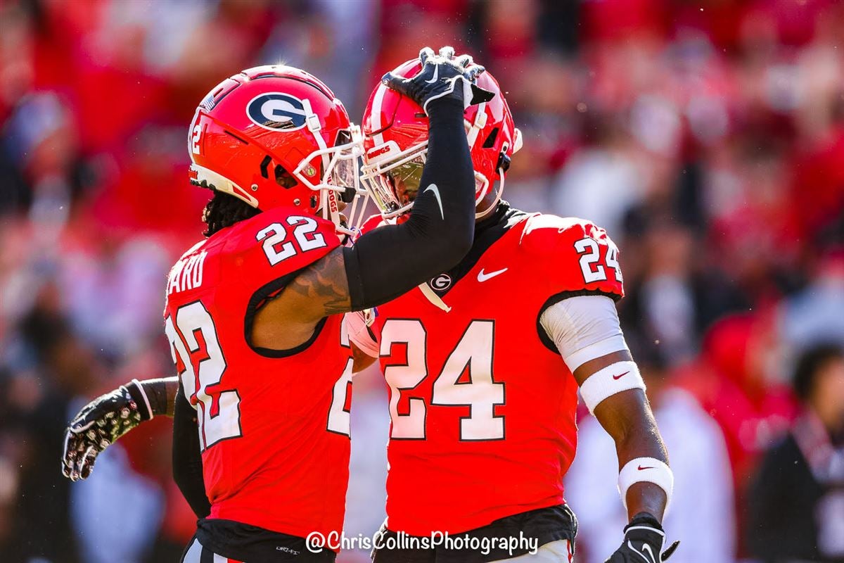 2 4 7 A look at FSU s Orange Bowl opponent the Georgia Bulldogs