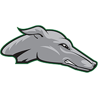 Greyhounds