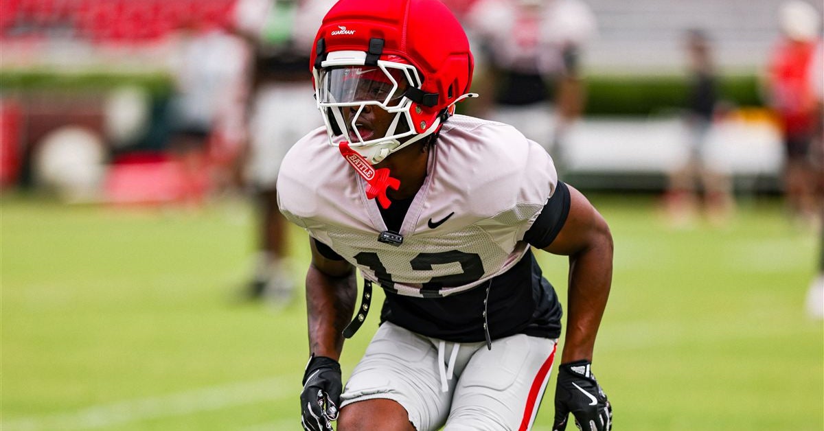 Report: Georgia safety Ja'Marley Riddle will not be prosecuted on drug, speeding charges