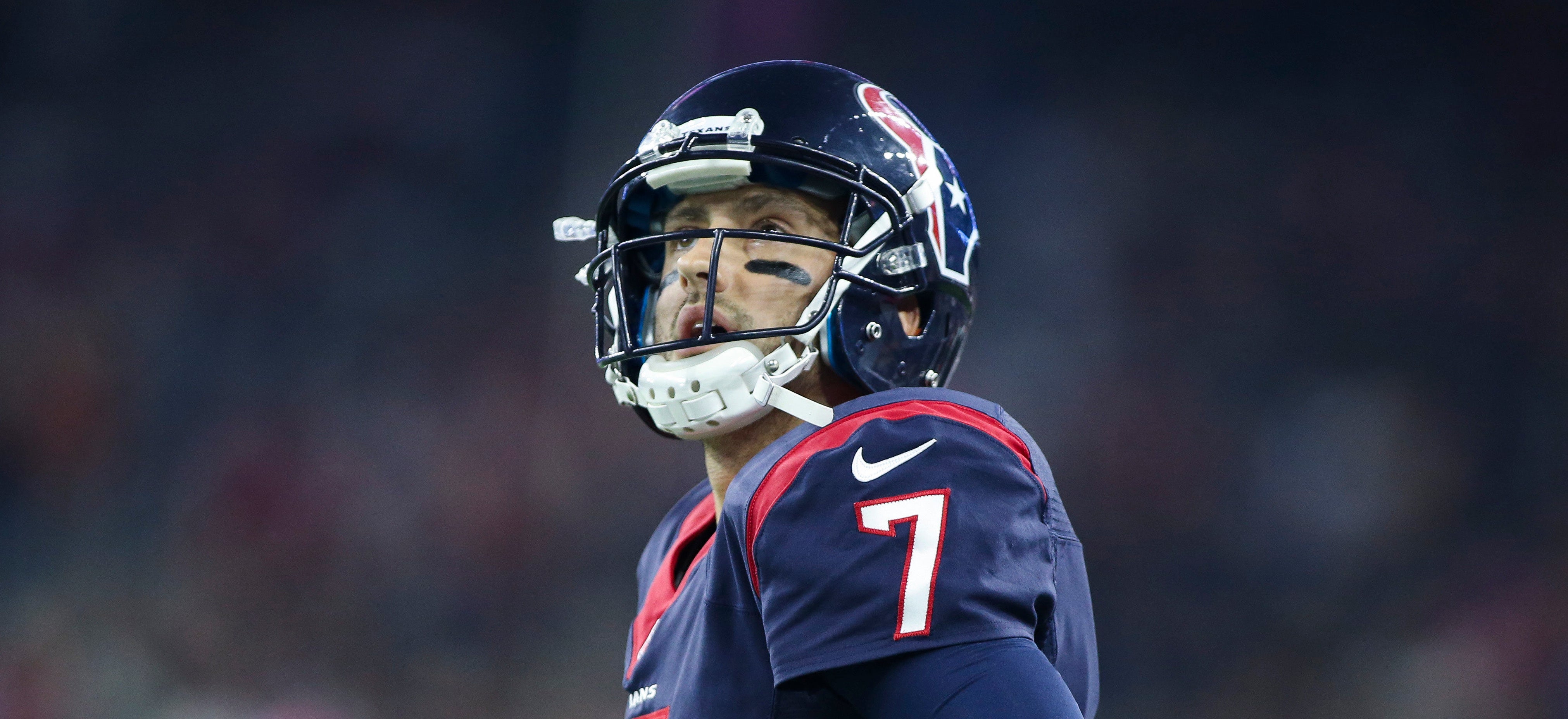 Cleveland Browns Free Agent Review: QB Brian Hoyer - Dawgs By Nature