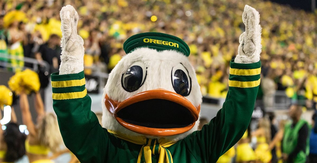 247sports ducks online