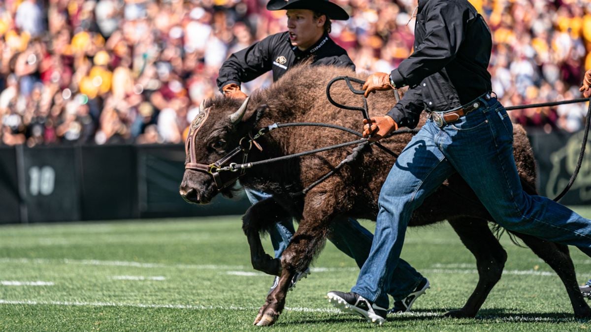 Colorado to take on Air Force on CBS - The Ralphie Report